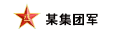 某集团军 某集团军